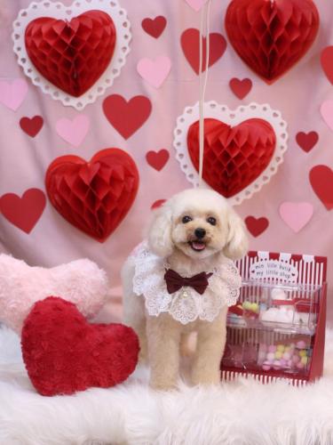 20240215リコちゃん